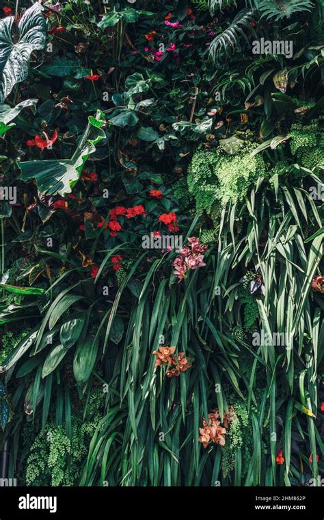 Natural Leafy Background With Various Petals Red Flowers Stock Photo