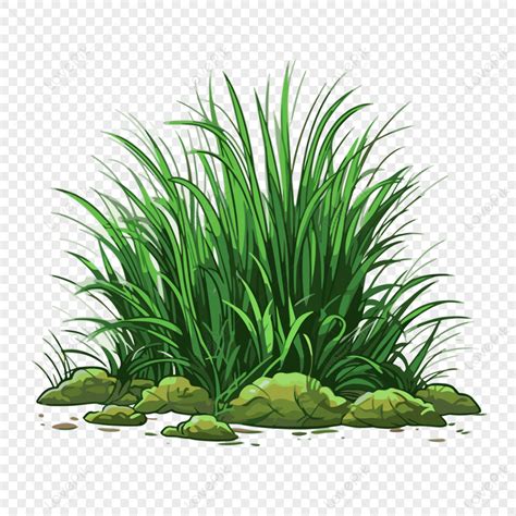 gambar gambar rumput fotos png background  gratis