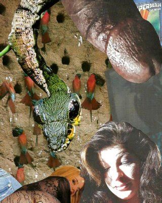 Trinity Maxx Nude Porn Pics Leaked XXX Sex Photos App Page PICTOA