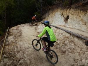 Kaiteriteri Mountain Bike Park | Mountain Biking in New Zealand