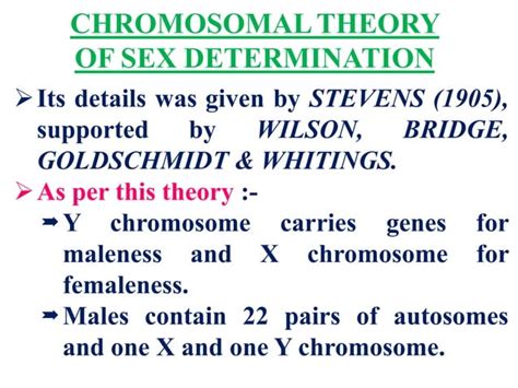 Sex Determination In Humans PDF