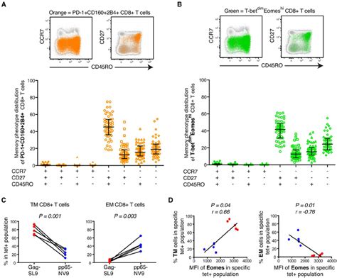 Phenotypic Characterization Of T Bet And Eomes Expression In Untreated