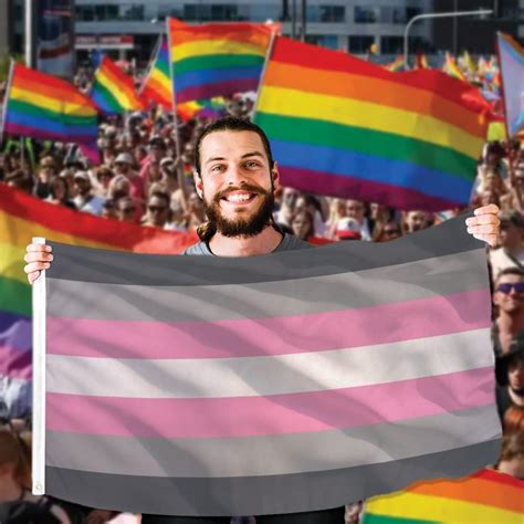 Bandera demisexual de orgullo para niña Demi Girl de 3 x 5 pies de