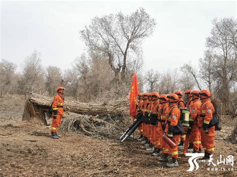 美丽新疆丨消防员携手护林员 筑牢胡杨林“防火墙” 天山网 新疆新闻门户