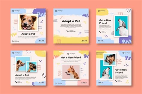 Adoptez Une Collection De Posts Instagram Pour Animaux De Compagnie