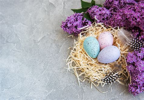 Nest with easter eggs featuring easter, eggs, and nest | Holiday Stock ...