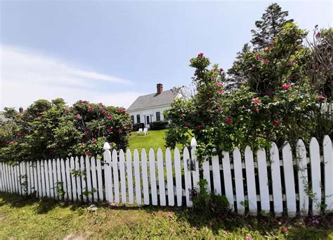 Discover The Allure Charm Of Monhegan Island Maine