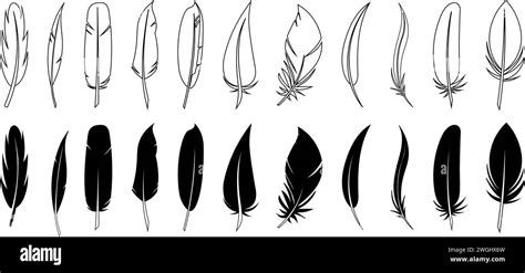 Set Of Black Feather In A Flat Style Set Of Bird Feather Pen Vector