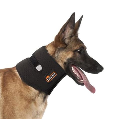 Dog Neck Brace The 15 Best Products Compared Wild Explained