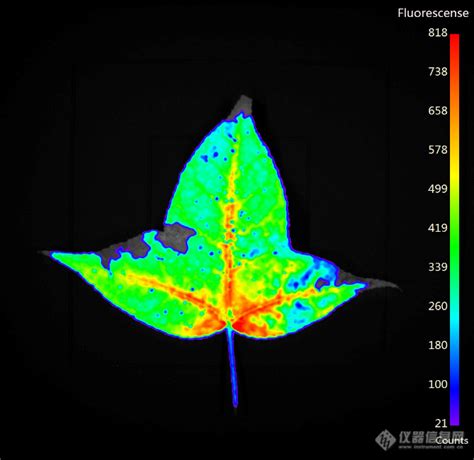 植物活体成像系统报价价格性能参数图 广州博鹭腾生物器材网