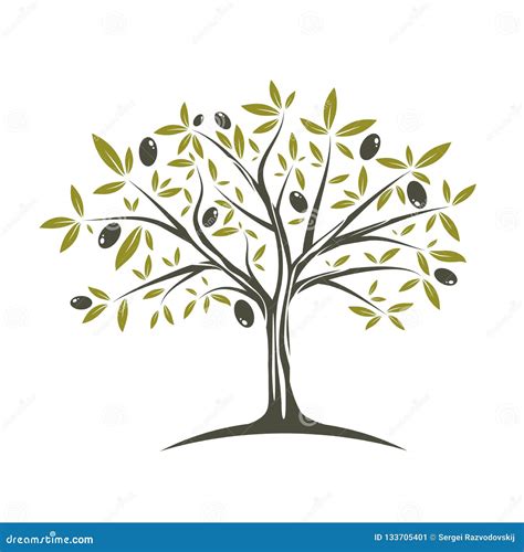 Olive Tree Branch Hand Drawn Sketch Cartoon Vector