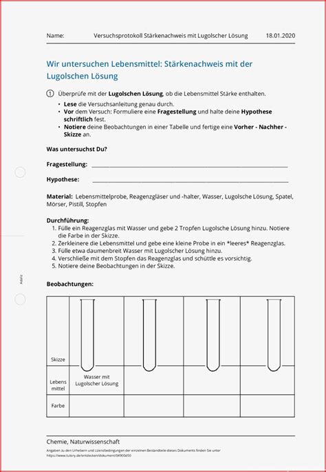 Arbeitsblatt Versuchsprotokoll Grundschule Designs Im Jahr