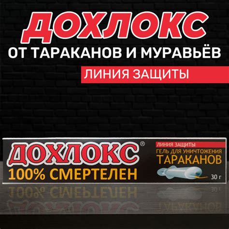 Дохлокс гель от муравьев и тараканов, 2 шт - купить с доставкой по ...