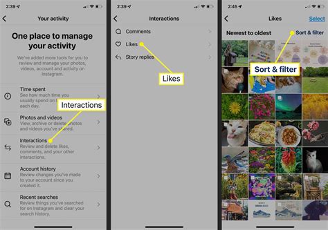 How To See Previously Liked Posts On Instagram