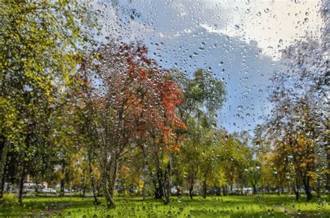 Bright Autumn Blurred Landscape After Rain Through Wet Window Glass