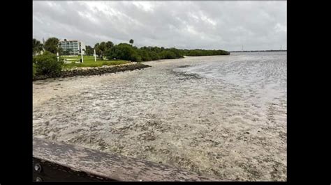 Photos Reverse Storm Surge Seen In Tampa Bay Area Wtsp