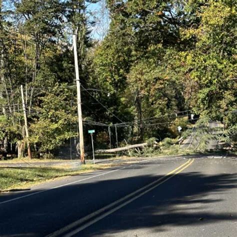 Fallen Tree Pulls Powerlines Down Closing Road In Doylestown Police