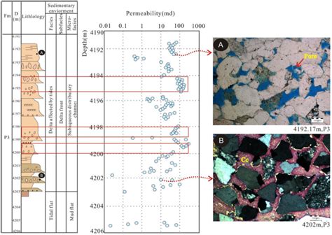 Minerals Free Full Text Microscopic Characteristics And Formation