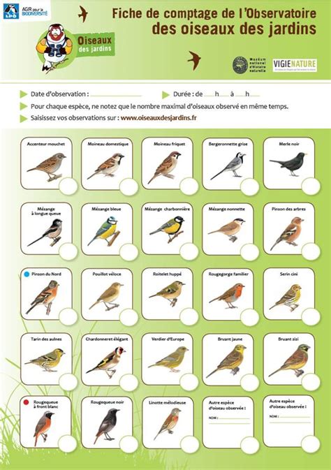 Fiches De Comptage Oiseauxdesjardins Fr Oiseaux Des Jardins