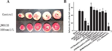 Myocardial Infarct Size In The Hearts Of Sprague Dawley Rats Exposed