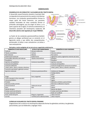 Control Prenatal Con Atenci N Centrada En La Paciente Gpc Control