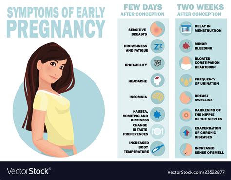 Symptoms Early Pregnancy Detailed Infographic Vector Image