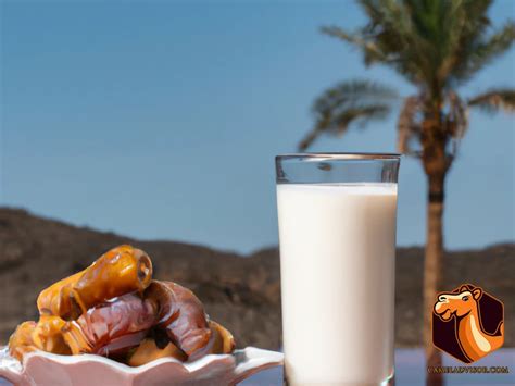 Health Benefits Of Camel Milk Why You Should Try It Today