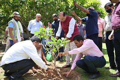 Lg Delhi Vinai Kumar Saxena Visits Stp And Plant Saplings In Nehru Park