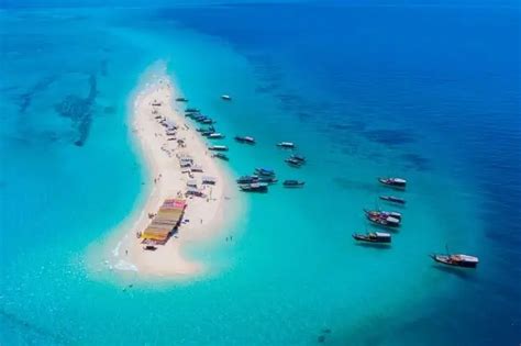 Where to go Snorkeling in Zanzibar - Travel Dudes