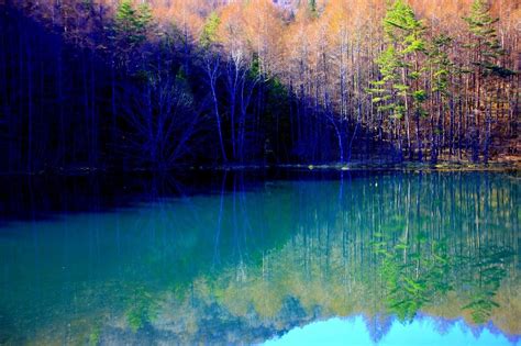 長野県茅野市蓼科高原「春の御射鹿池」ミニ写真展の紹介です。 ””白黒写真で幻想＆異次元の世界を表現する写真館””