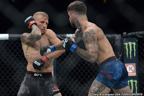 T J Dillashaw Def Cody Garbrandt At Ufc 227 Best Photos Mma Junkie