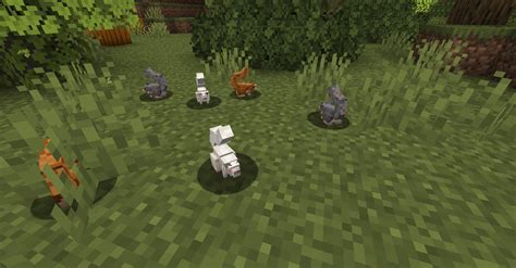 Better Animals Plus Minecraft Mods Curseforge