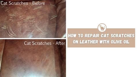 How To Repair Leather Sofa Cat Scratch Baci Living Room