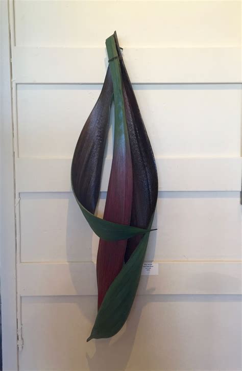 Pin By Jacki Roberts On Palm Tree Seed Pod Ideas Palm Frond Art Palm Tree Art Palm Tree Crafts