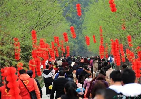 【乡村振兴】六里坪镇首届桃花节顺利开幕 湖北医药学院