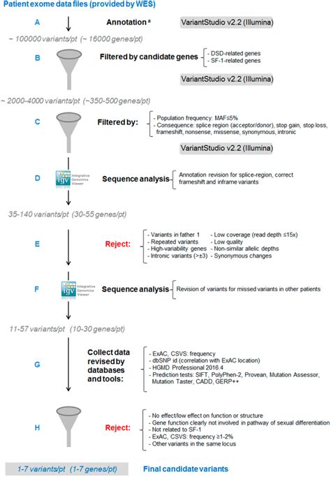 Broad Phenotypes In Heterozygous Nr5a1 46 Xy Patients With A Disorder