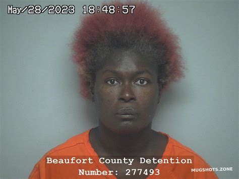 Jessica Ann Jacobs 05 10 2023 Beaufort County Mugshots Zone