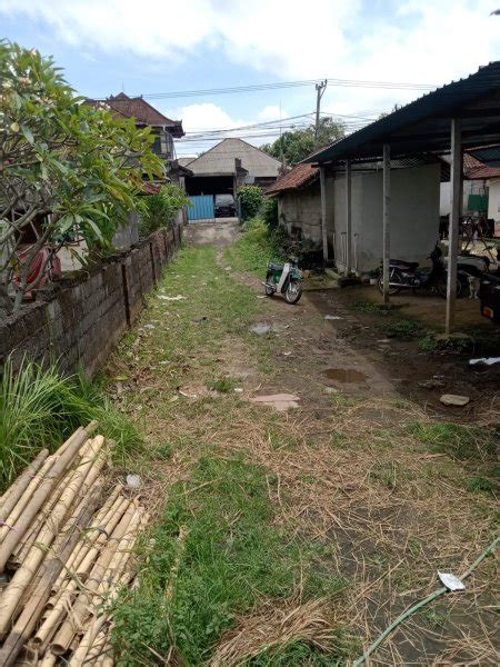 Disewakan Global Tanah View Sawah Lodtunduh Ubud Tanah Dikontrakkan Di