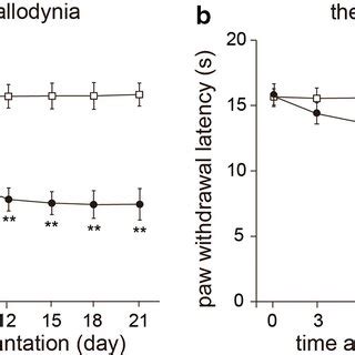 Tumor Cell Implantation Induced Mechanical Allodynia And Thermal