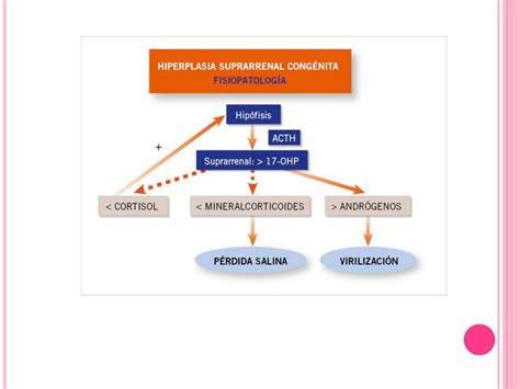 Hiperplasia Suprarrenal Congénita Dra xmed uDocz