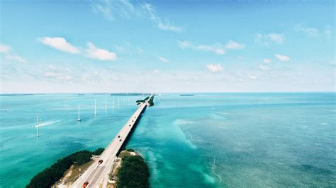 Visit Key West Top Things To Do In Key Largo