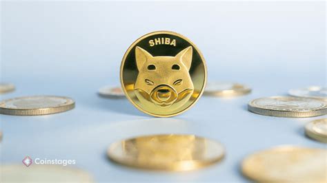 Shiba Inus Lead Dev Unveils Ambitious Vision Amid Shibarium Debut