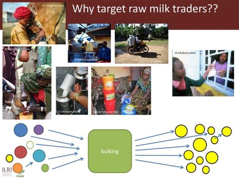 Food Safety Interventions Economic And Health Outcomes And Impacts Ppt