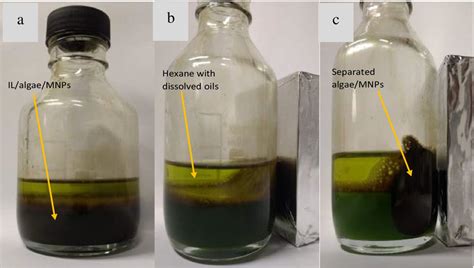 Extraction Of Lipids From Magnetically Separated Microalgae Using Ils