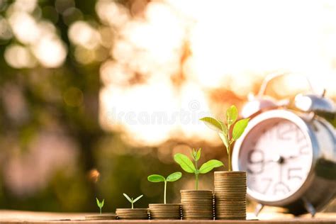 Money Coin Stack Growing Graph With Sun Light Bokeh Background