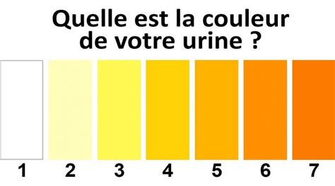 Image De Jaune La Couleur Jaune De L Urine