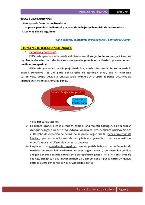 Tema D Penitenciario Tema Introducci N I Concepto