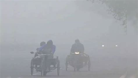 Weather Today Cold Wave Conditions Dense Fog In North India Delhi