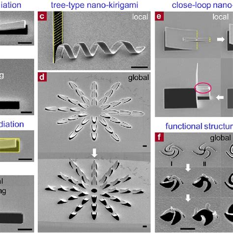 SEM Images Of Structures With FIB Based Nano Kirigami A Local