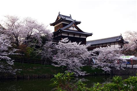 Want To Get Out Of Crowded Kyoto Or Nara Then Visit Koriyama Castle